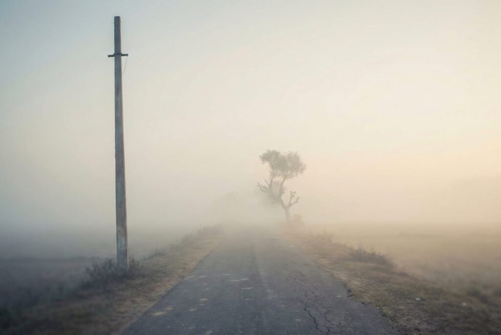 Narrow rural road in Maharashtra disappearing into dense morning fog, with a single electric pole and a lone tree emerging from the mist.